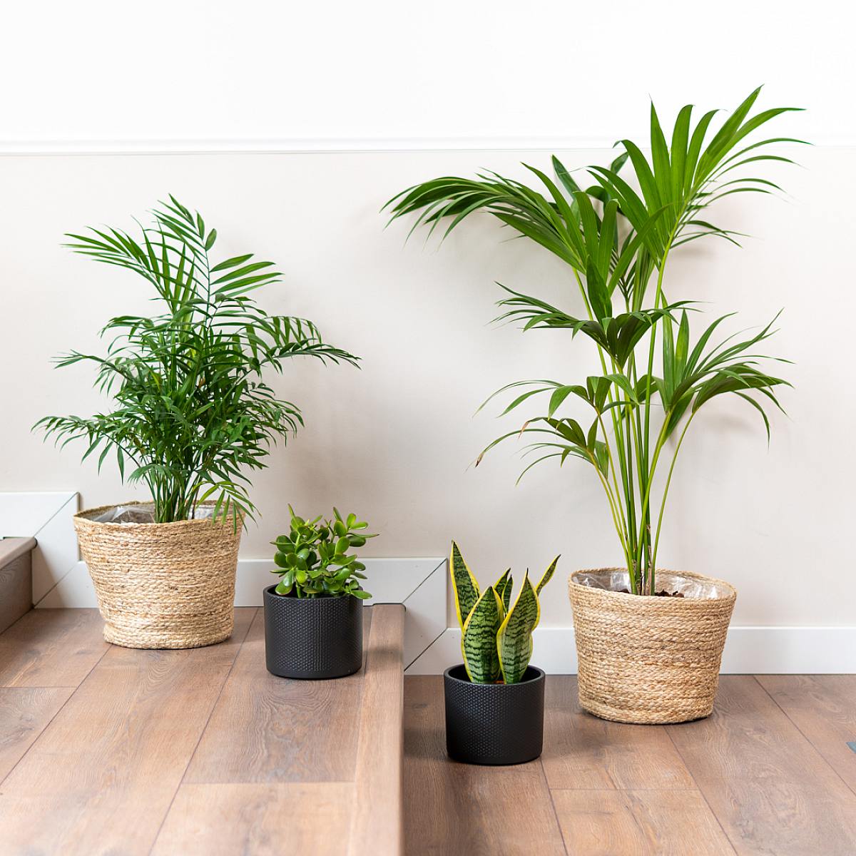 Očistná a relaxační sada picture 2