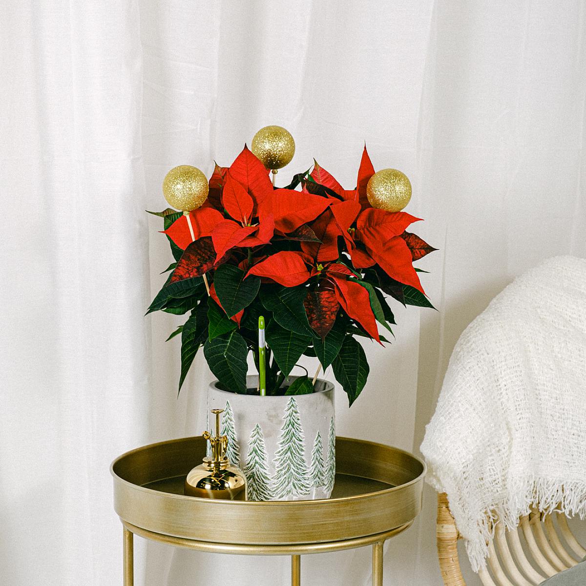 Set Happy Holiday picture 1