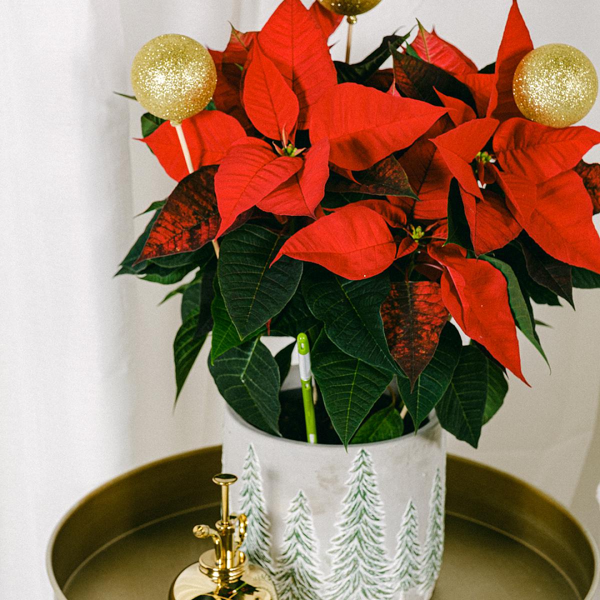 Set Happy Holiday picture 2