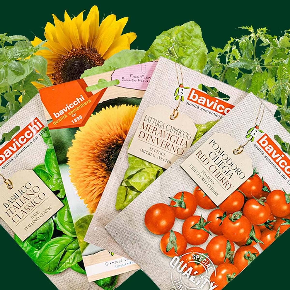 Überraschungssaatgut picture 0