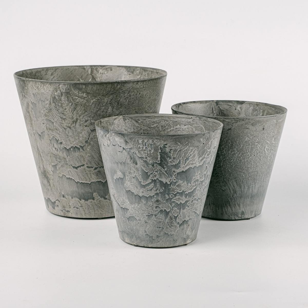 Trio sadzarek Lucca picture 0