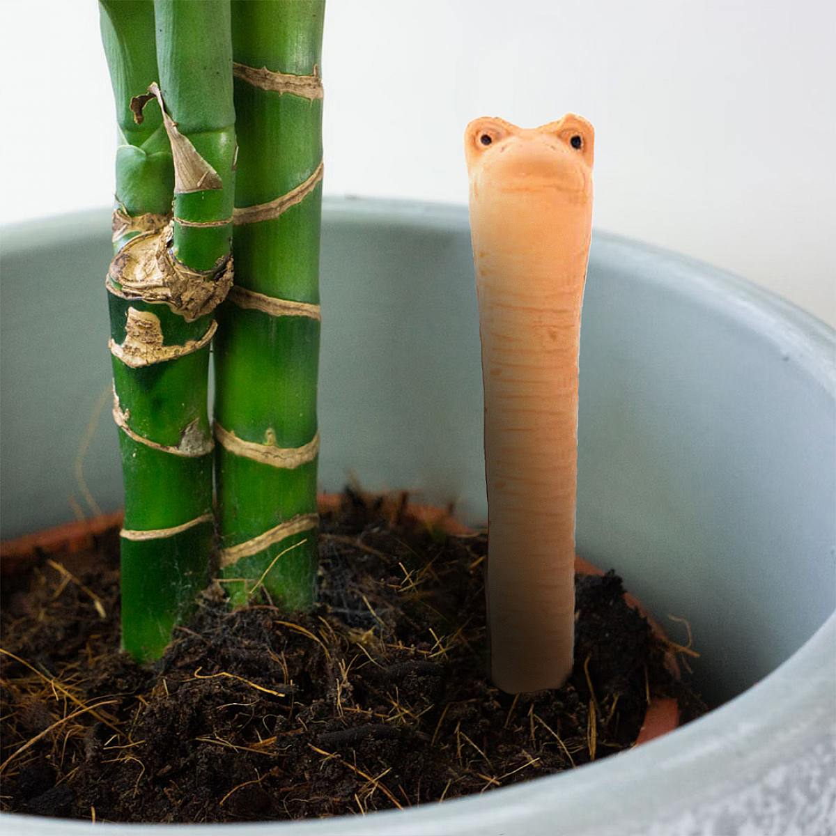 Terracotta Irrigation Sensor picture 1