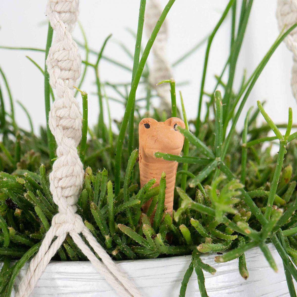 Terracotta Irrigation Sensor picture 3