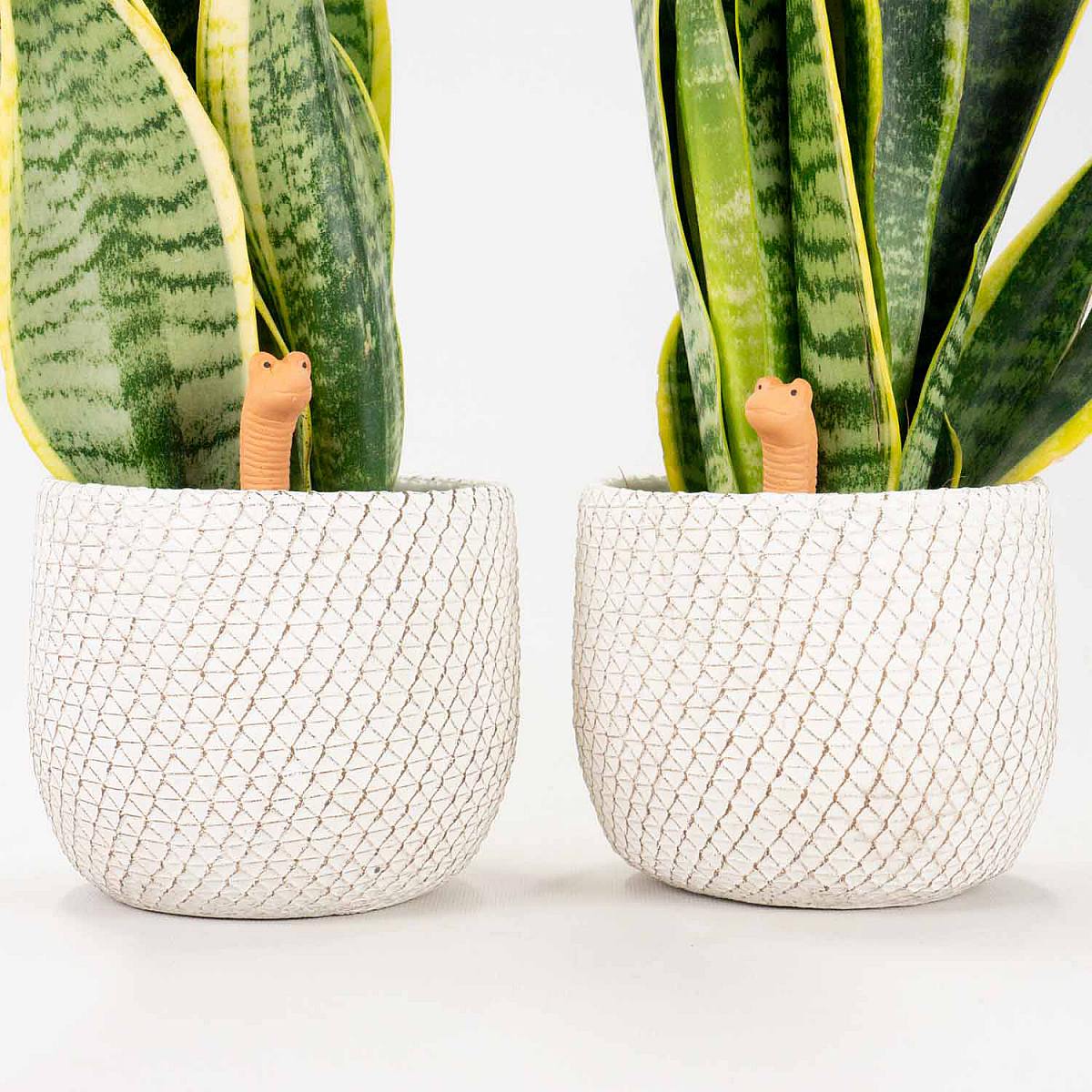 Terracotta Irrigation Sensor picture 4