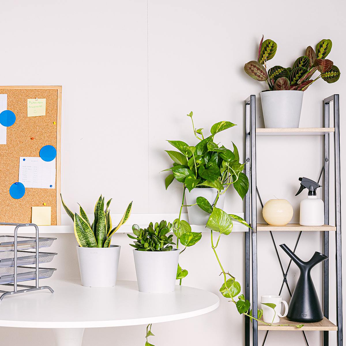 Snadná kancelářská sada picture 1