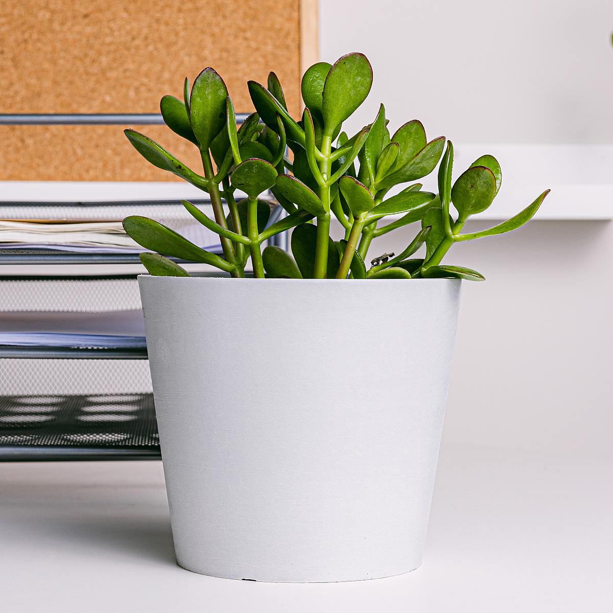 Snadná kancelářská sada picture 4