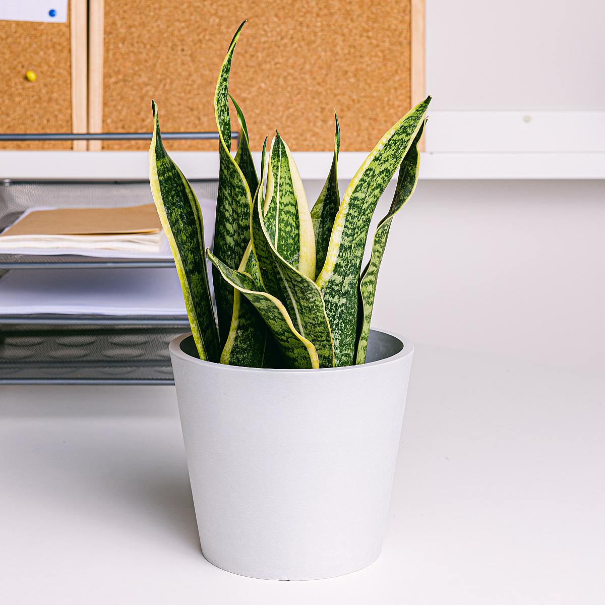 Snadná kancelářská sada picture 6