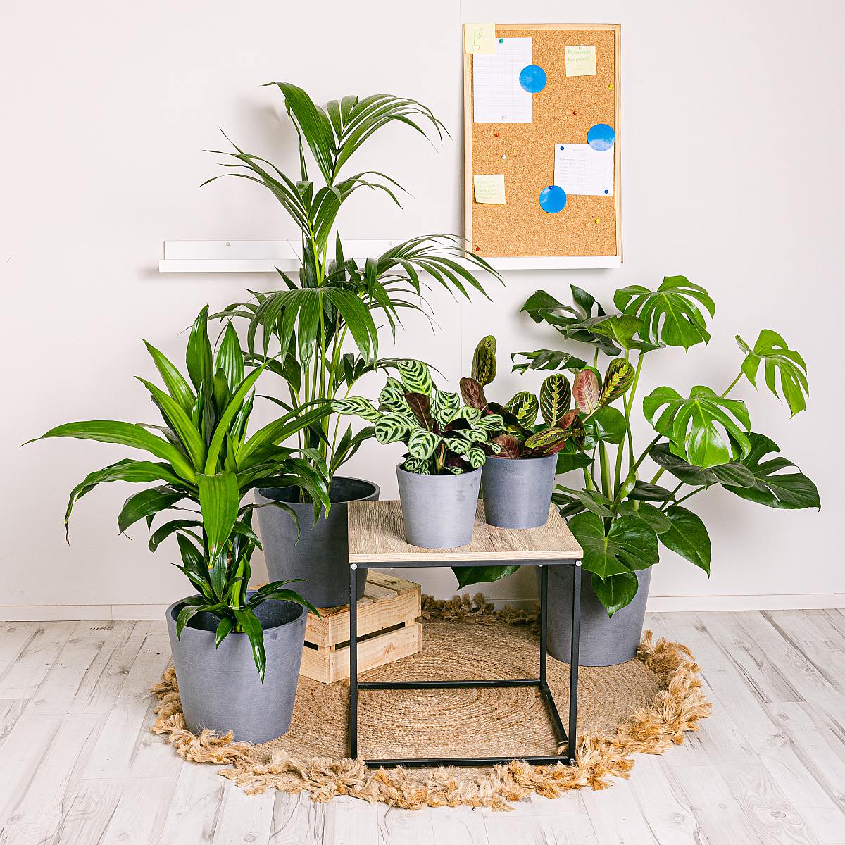 Ställ in produktiva anläggningar picture 1