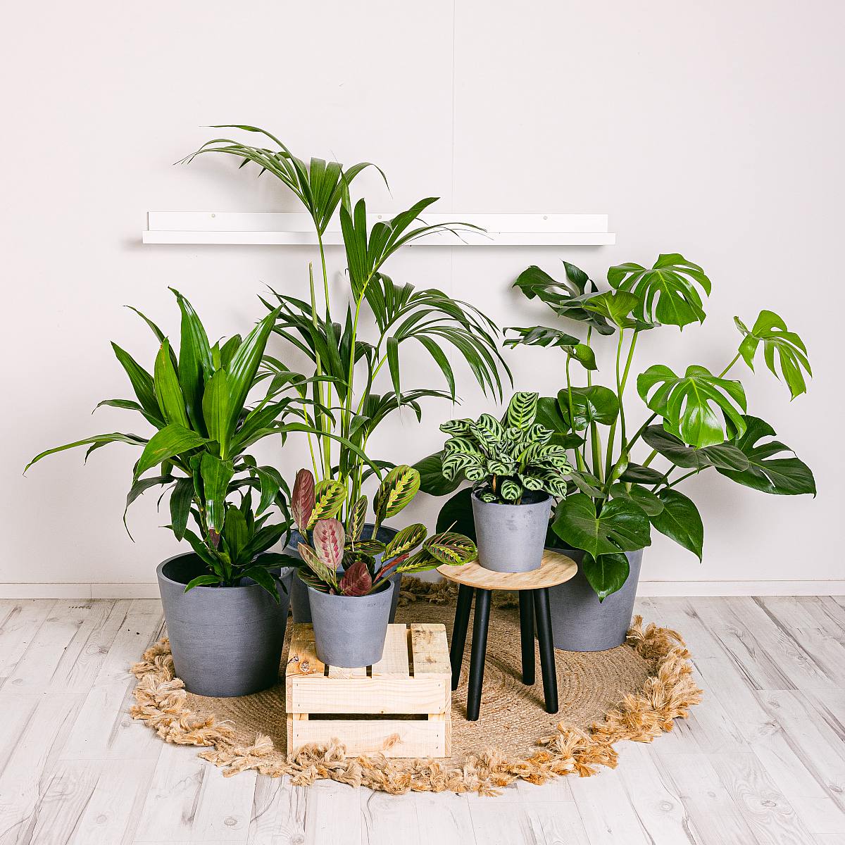 Ställ in produktiva anläggningar picture 2