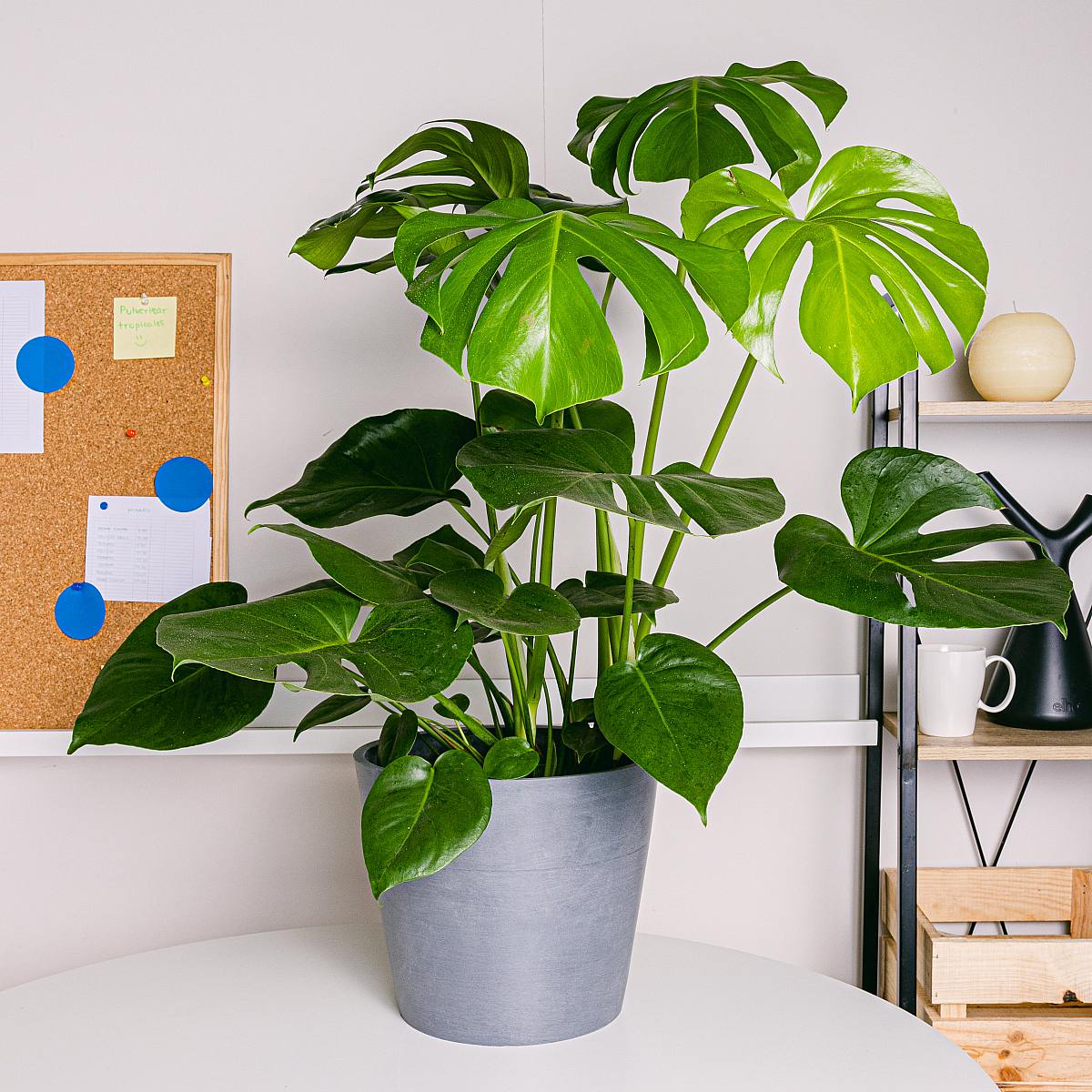 Ställ in produktiva anläggningar picture 3