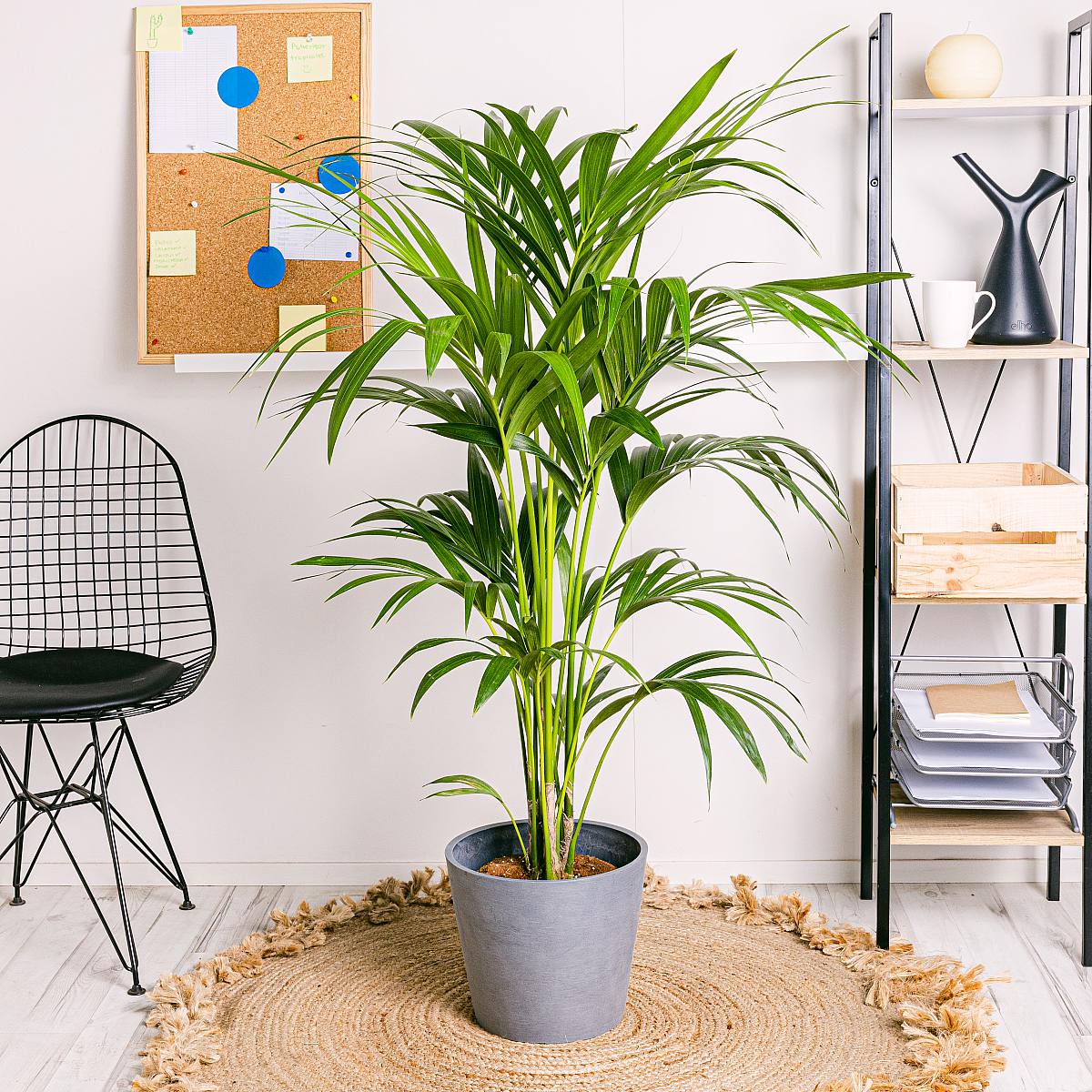 Ställ in produktiva anläggningar picture 4