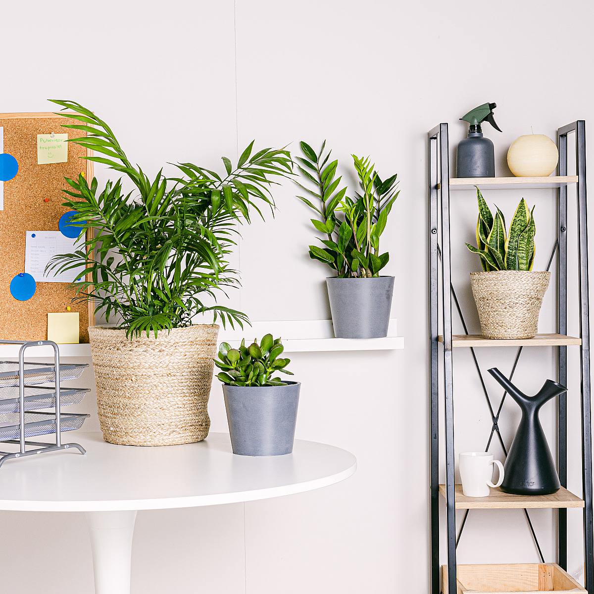 Nastavení zeleného stolu picture 1