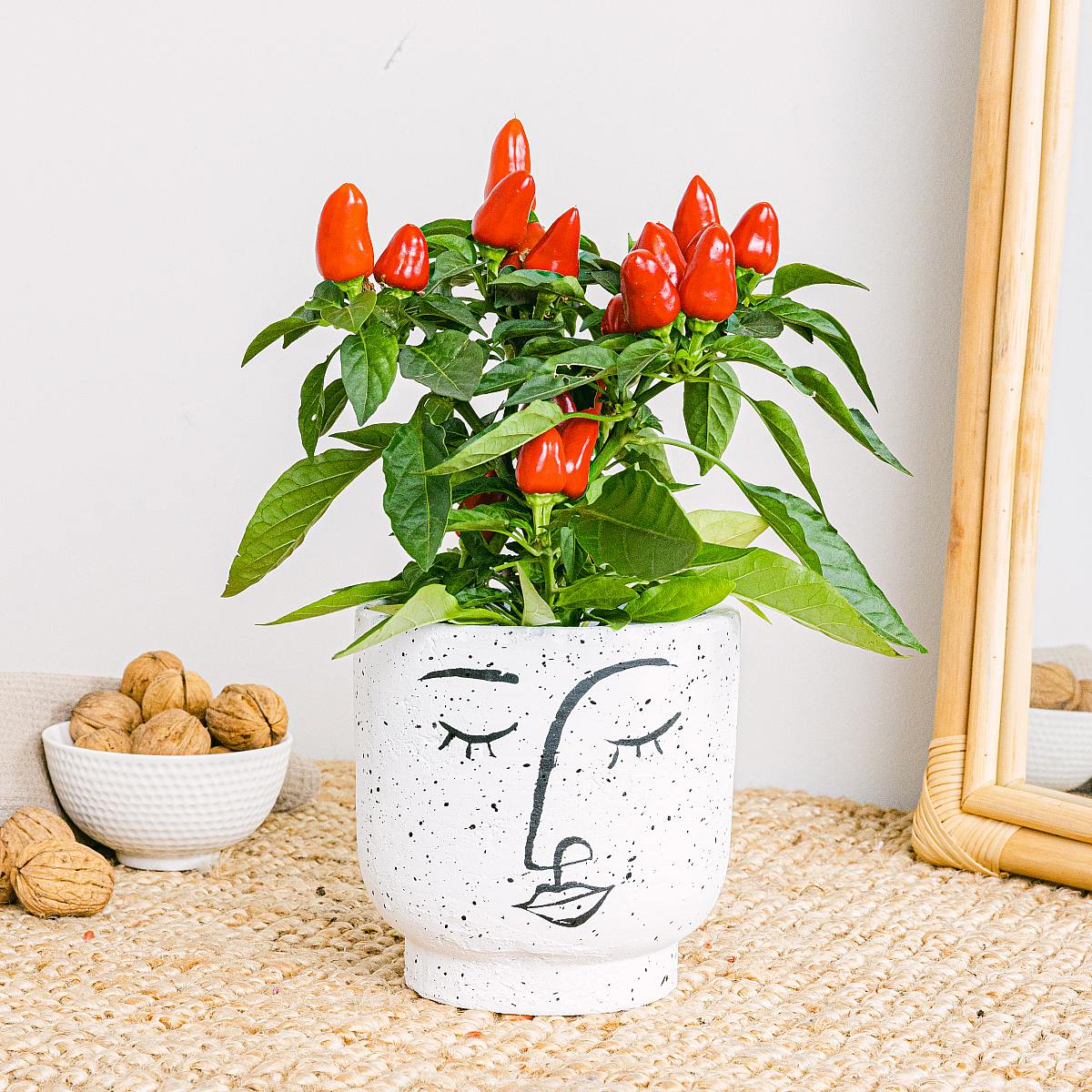 Pepřová rostlina picture 0