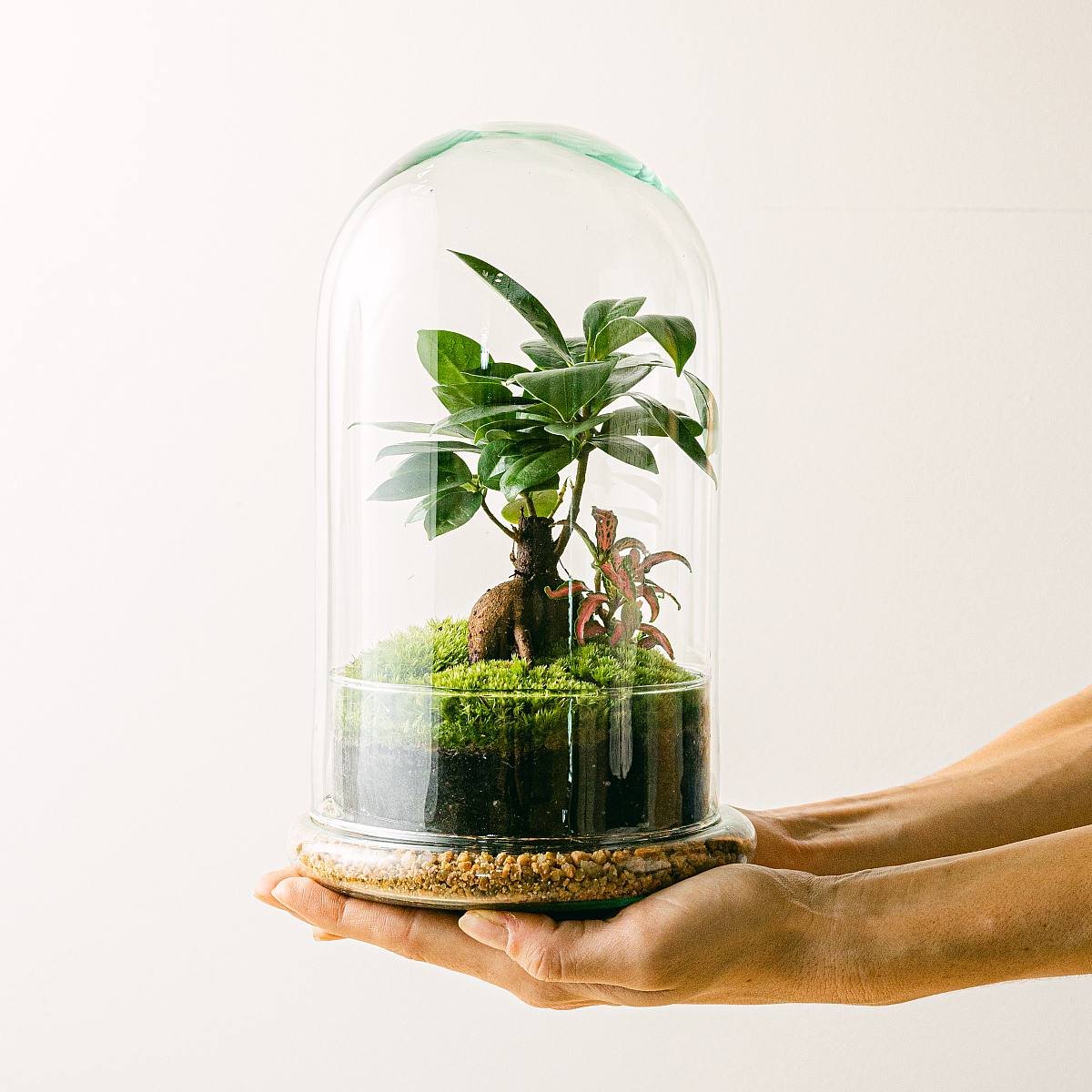 Dóm v džungli picture 2