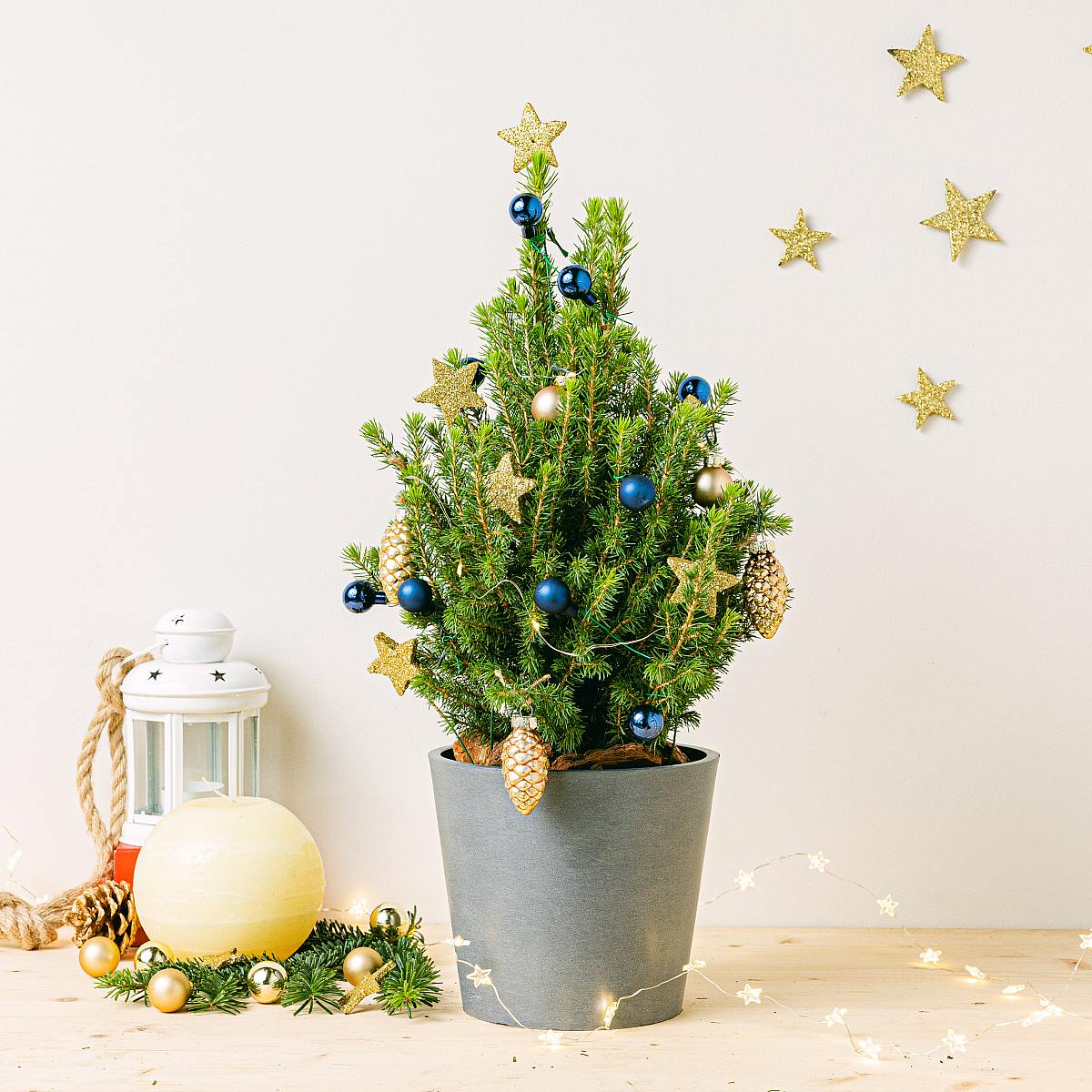 Eternal Christmas Set picture 1