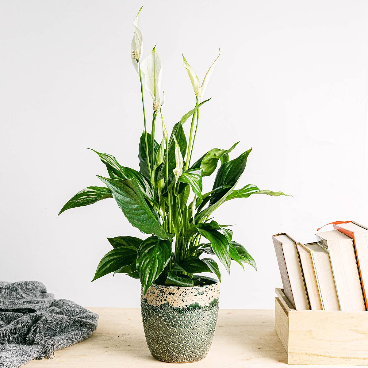 Květináč Cusco - M/15cm picture 2