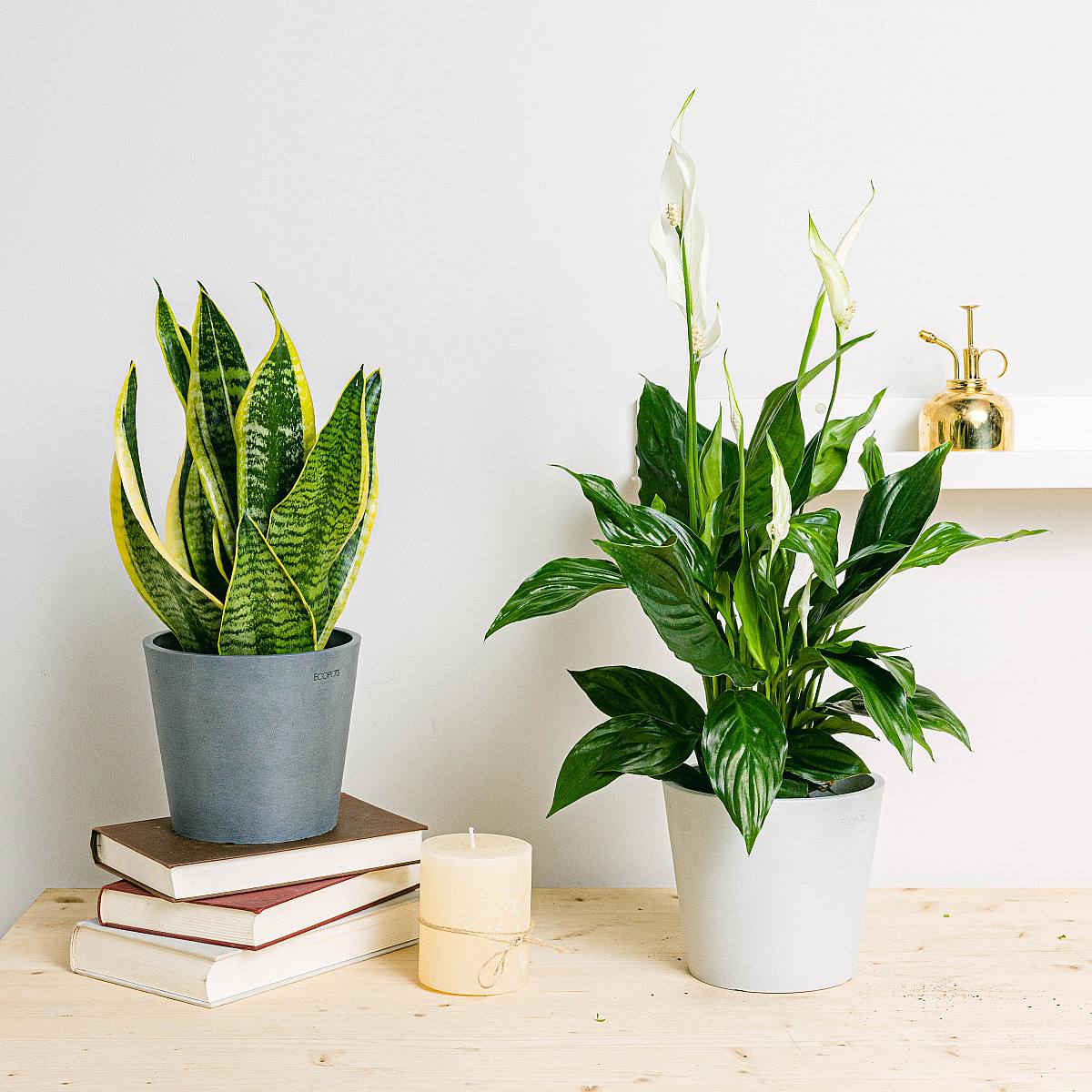 Kyslíkové čerpadlo Duo picture 1