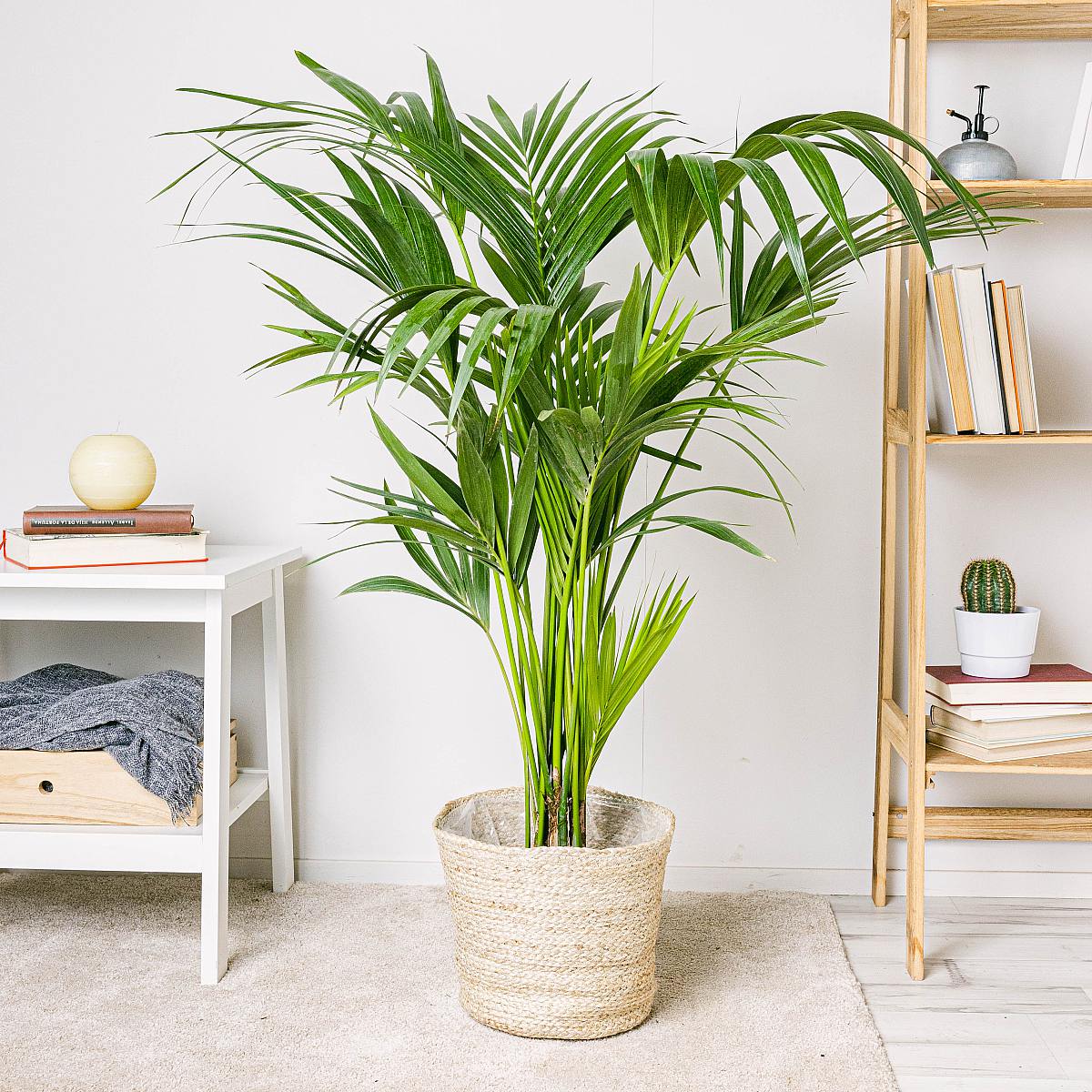 Cesta Nauru - XXL/30cm picture 2