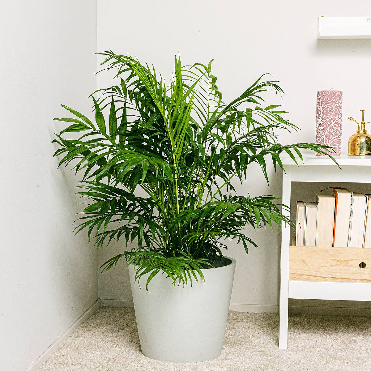 Vaso Amsterdam -XL/28cm picture 1