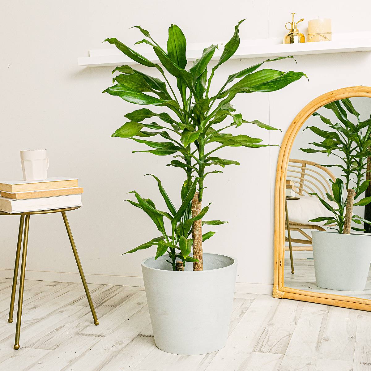 Vaso Amsterdam -XL/28cm picture 2