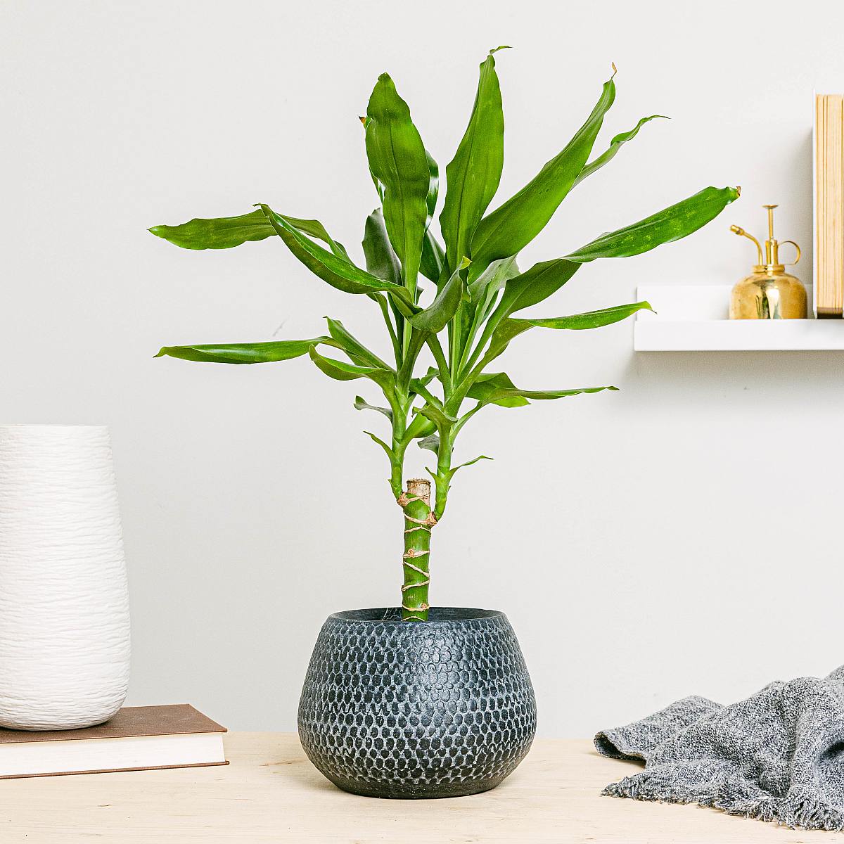 Macetero Kyoto - S/12cm picture 2