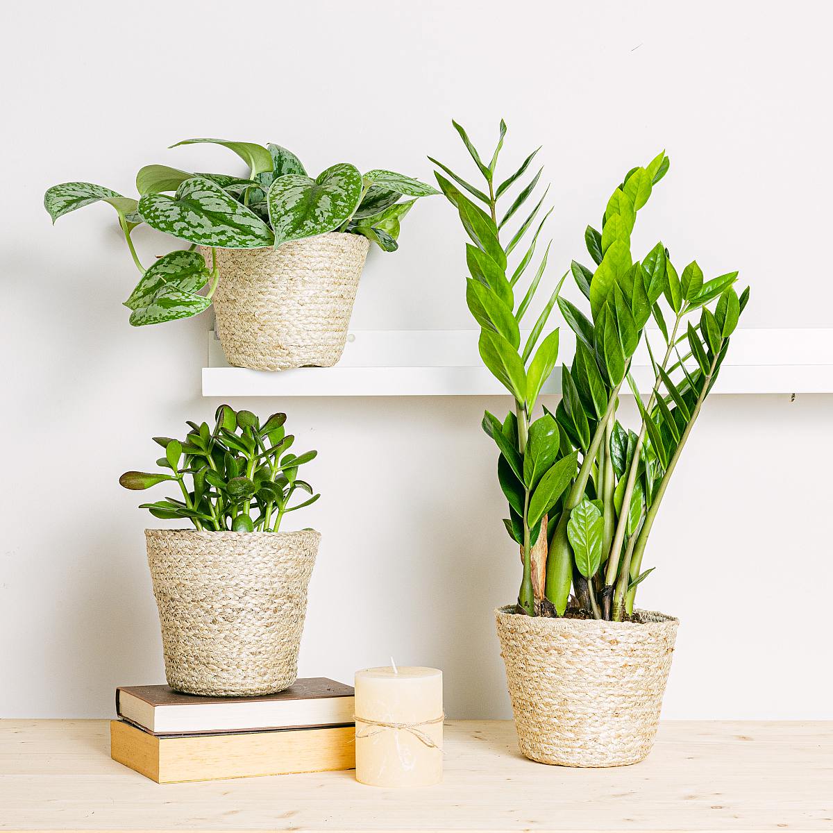 Nauru Korb Trio - M/18cm picture 2