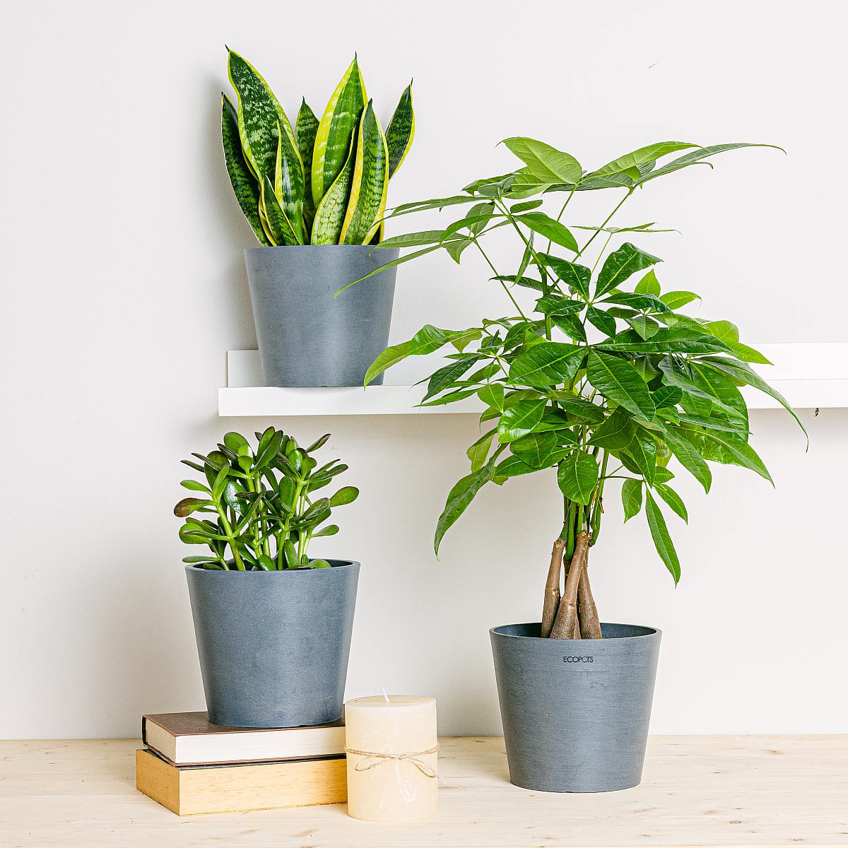 Trio Planters Eco Amsterdam Grey - M/15cm picture 1