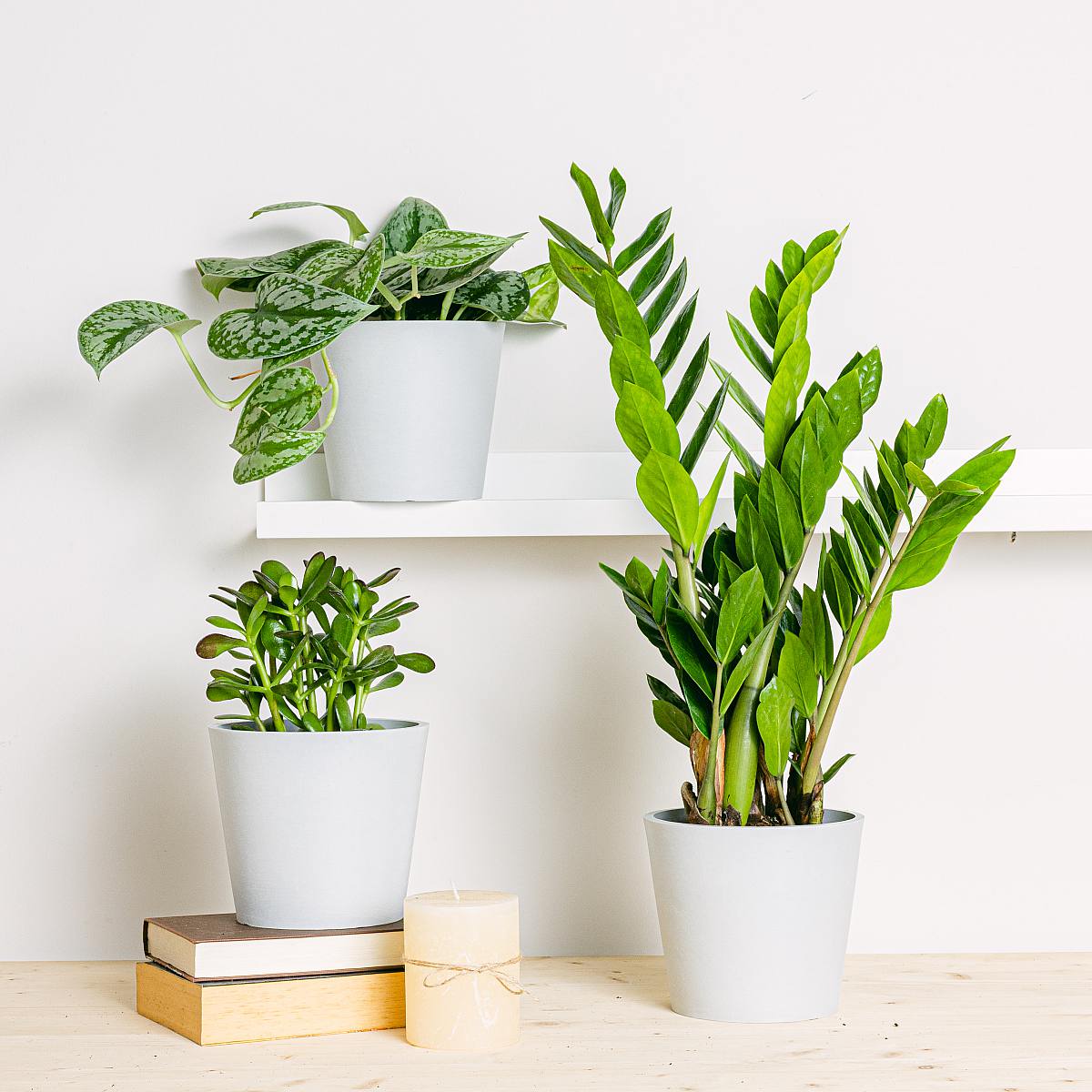 Set Vasi Amsterdam - ECO M/15cm picture 1