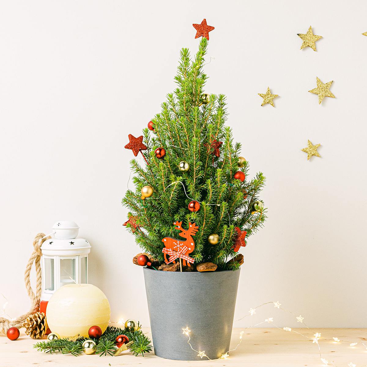 Sázecí květináč Amsterdam - M/15cm picture 3