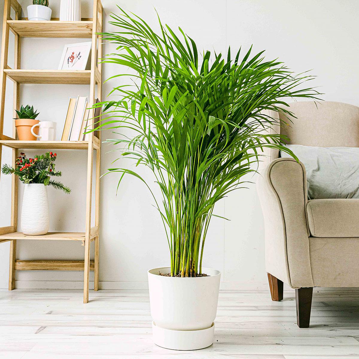 Charlotte Bloembak - XL/23cm picture 3