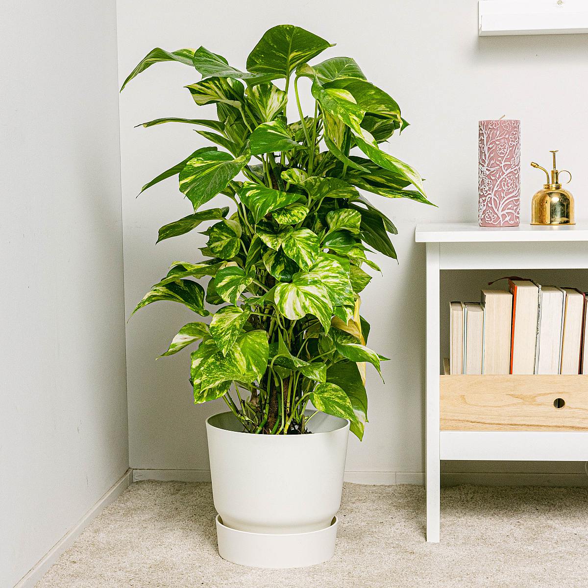 Charlotte Bloembak - XL/23cm picture 4