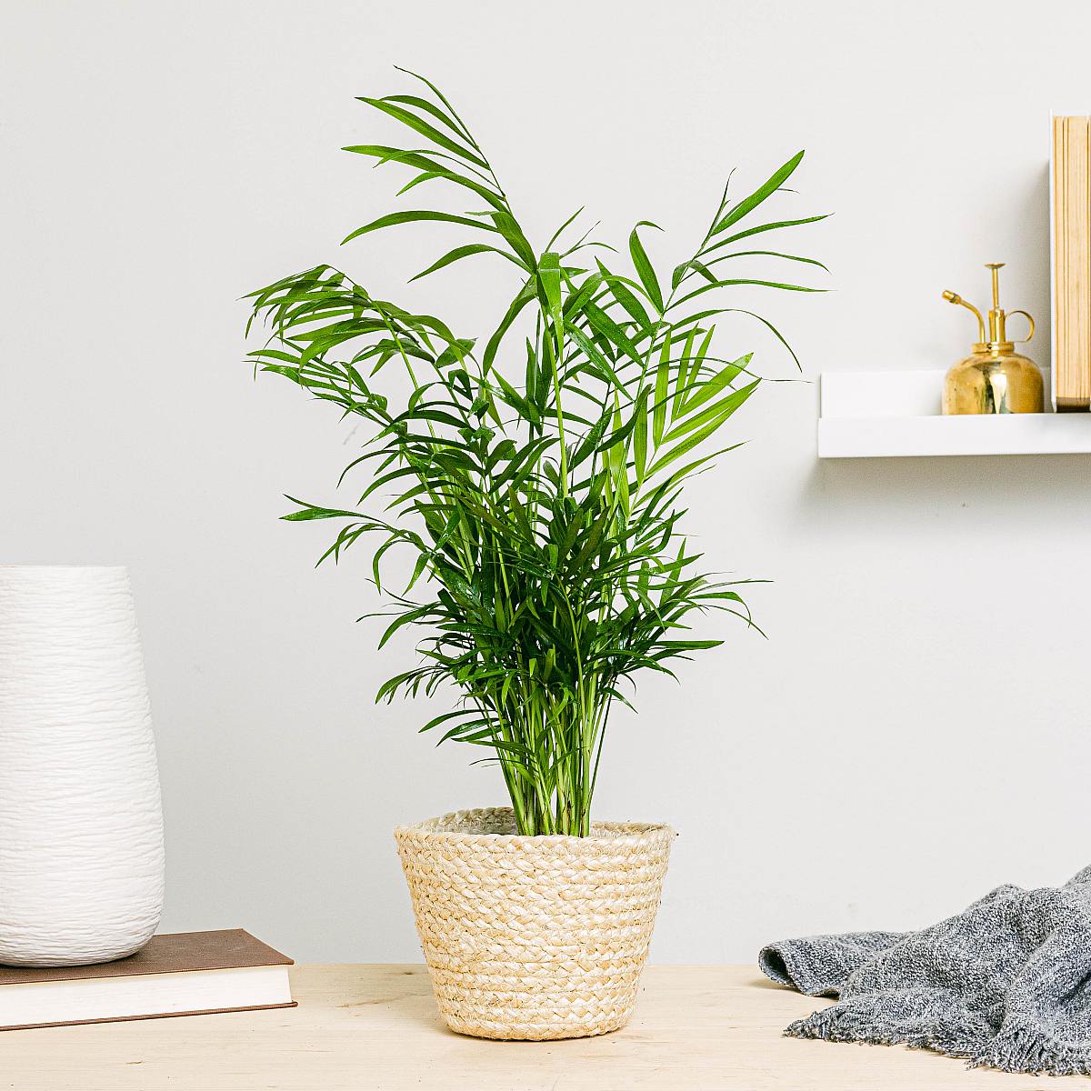 Nauru Basket - S/12cm picture 3