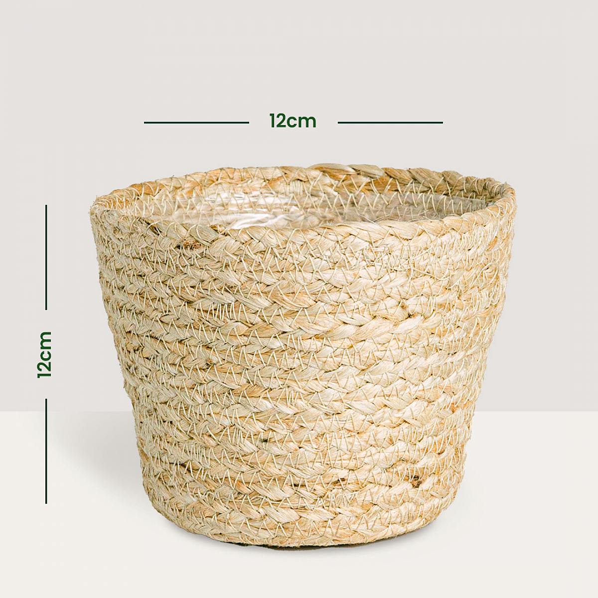 Nauru Baskets Trio - S/12cm picture 4