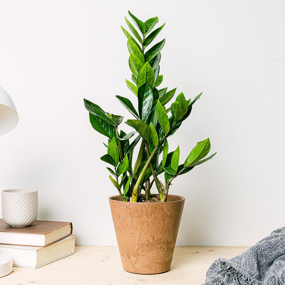 Květináč - S/14cm picture 2