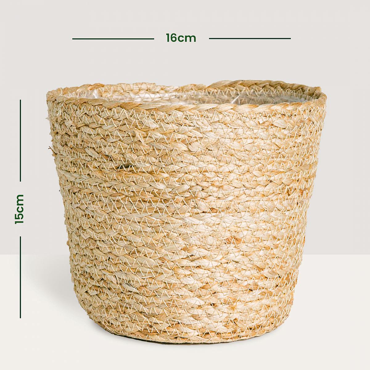 Nauru Basket - M/18cm picture 4