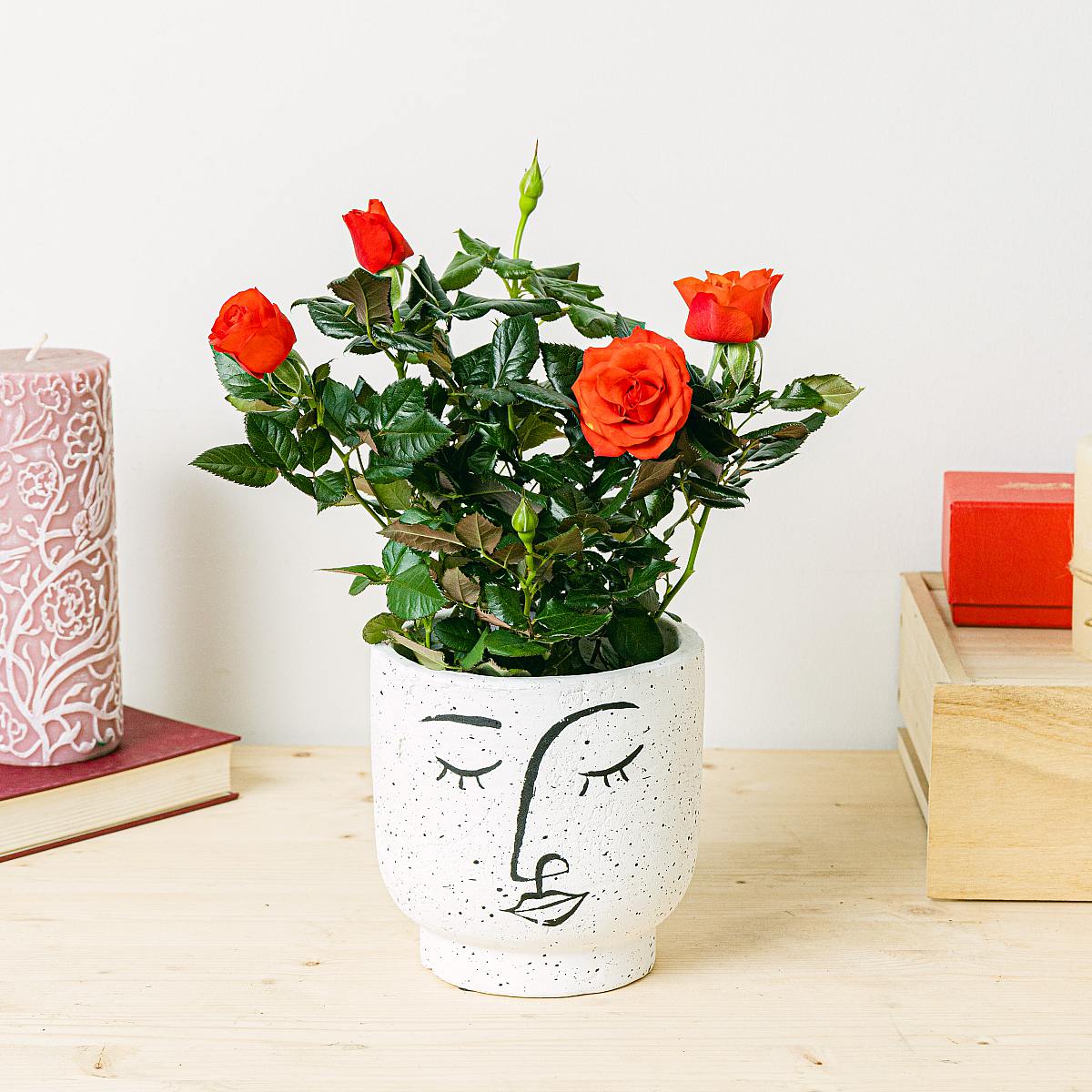 Rosaio Rosso picture 2