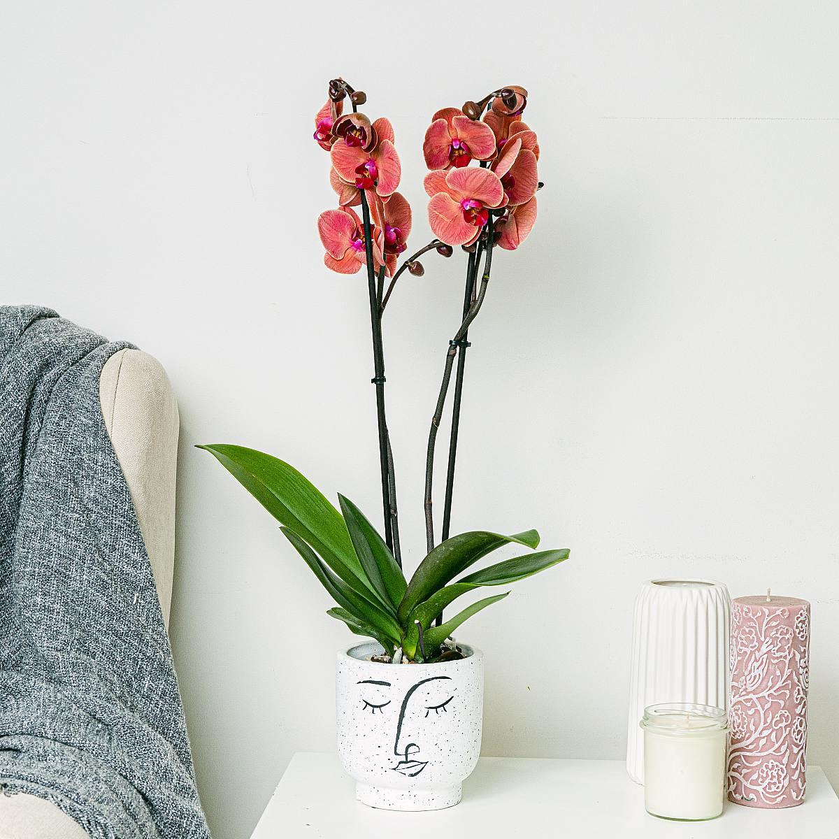 Różowa Orchidea picture 3