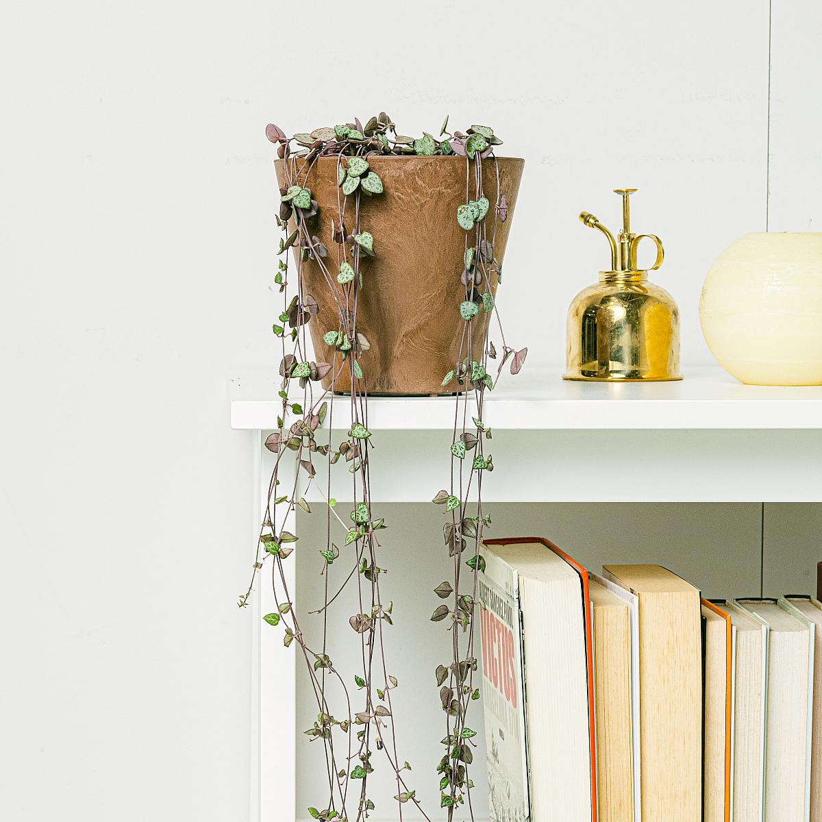 Růženec srdcí picture 1