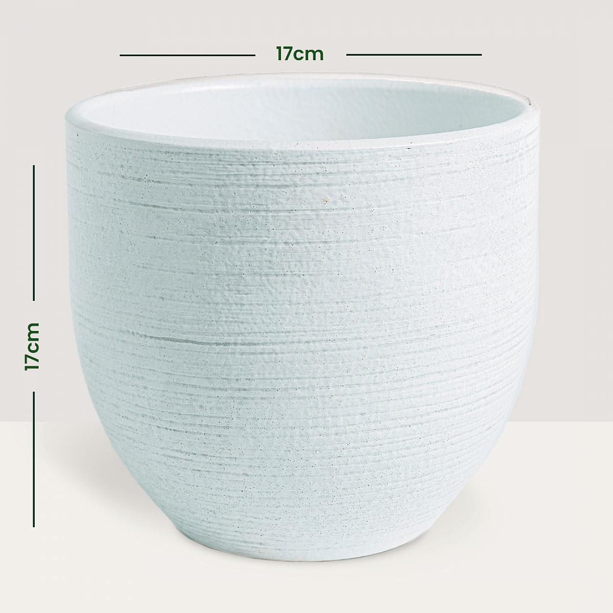 Kenya Planter - M/15cm picture 4