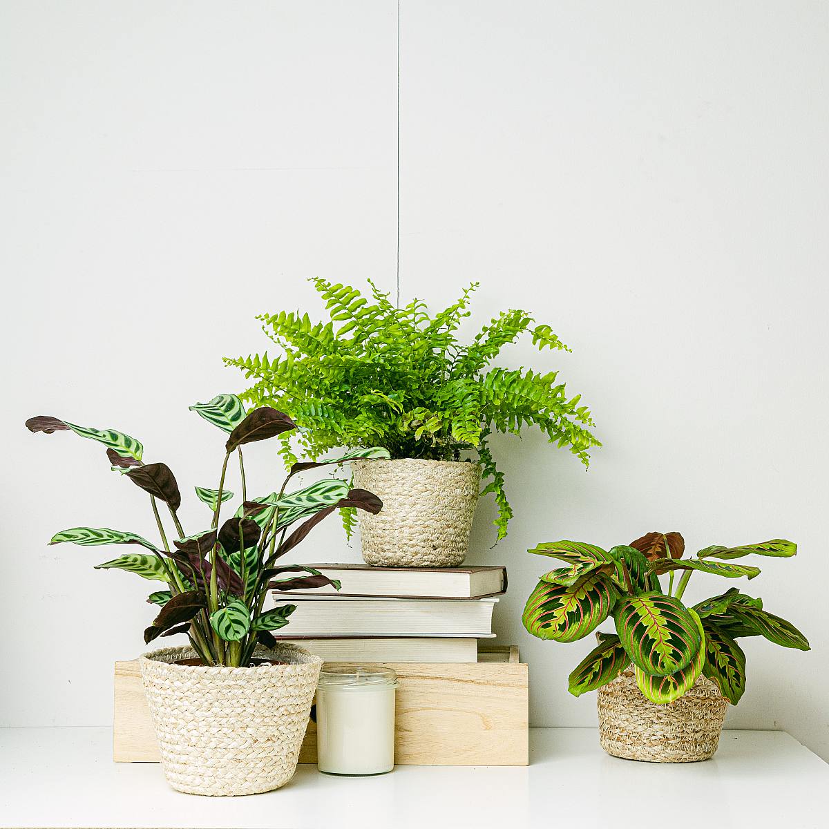 Nauru Baskets Trio - S/12cm picture 3