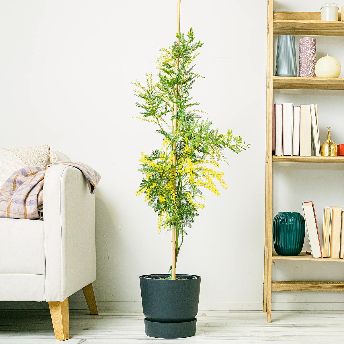 Květináč Lima - XL/23cm picture 2