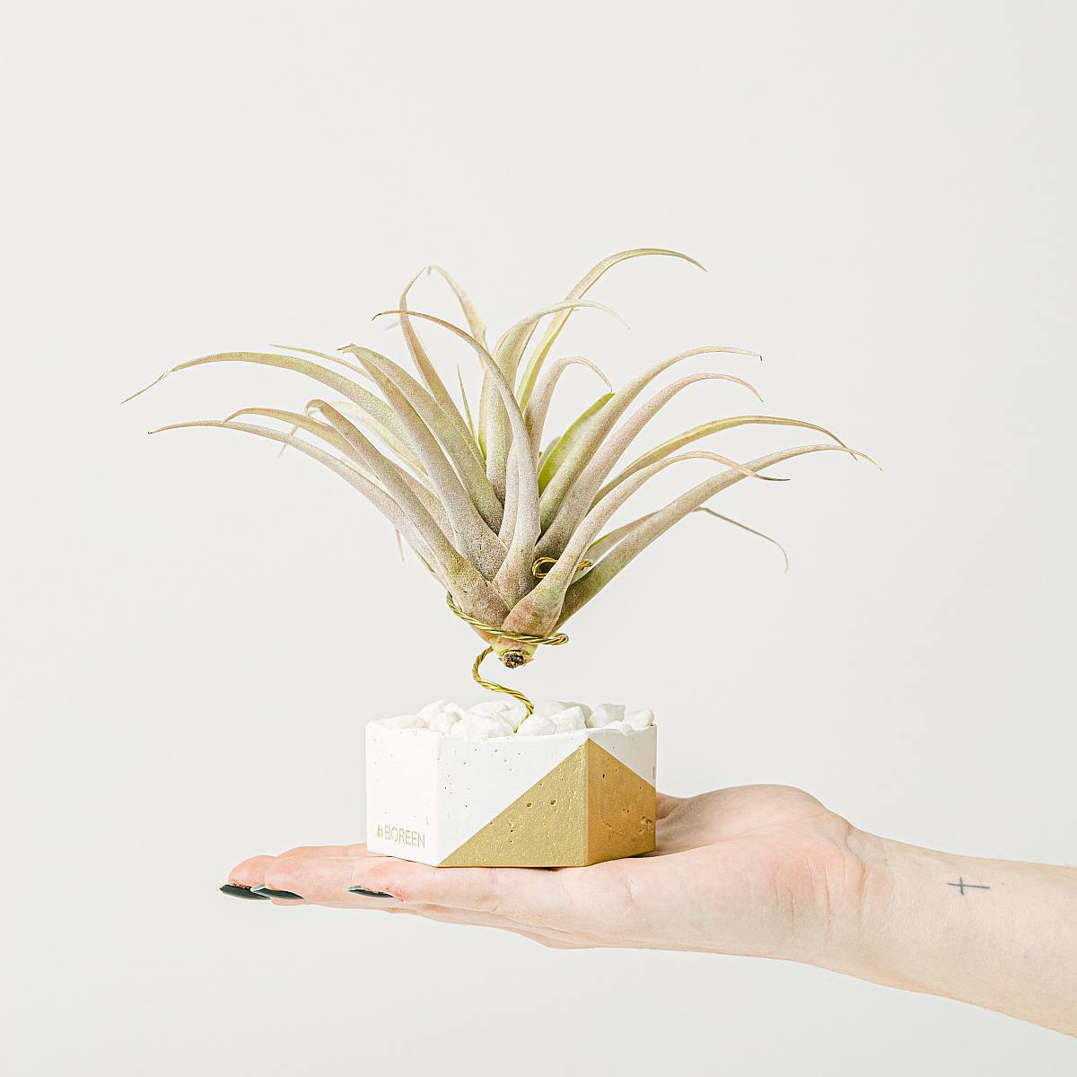 Instalacja powietrzna Bali picture 1