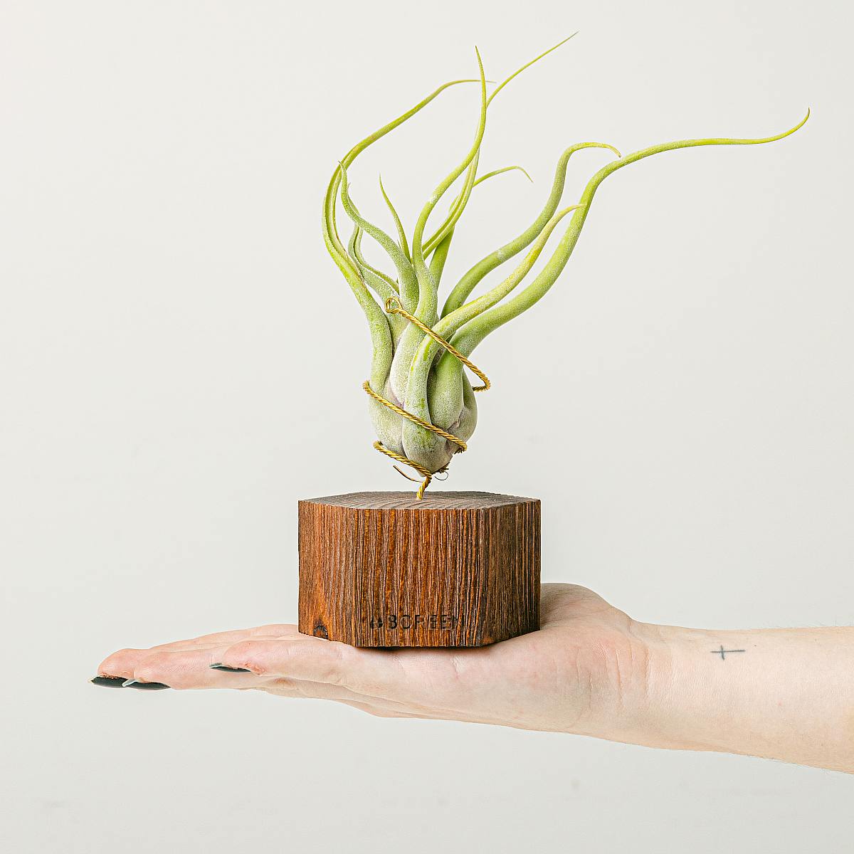 Vzduchotechnika Vídeň picture 1