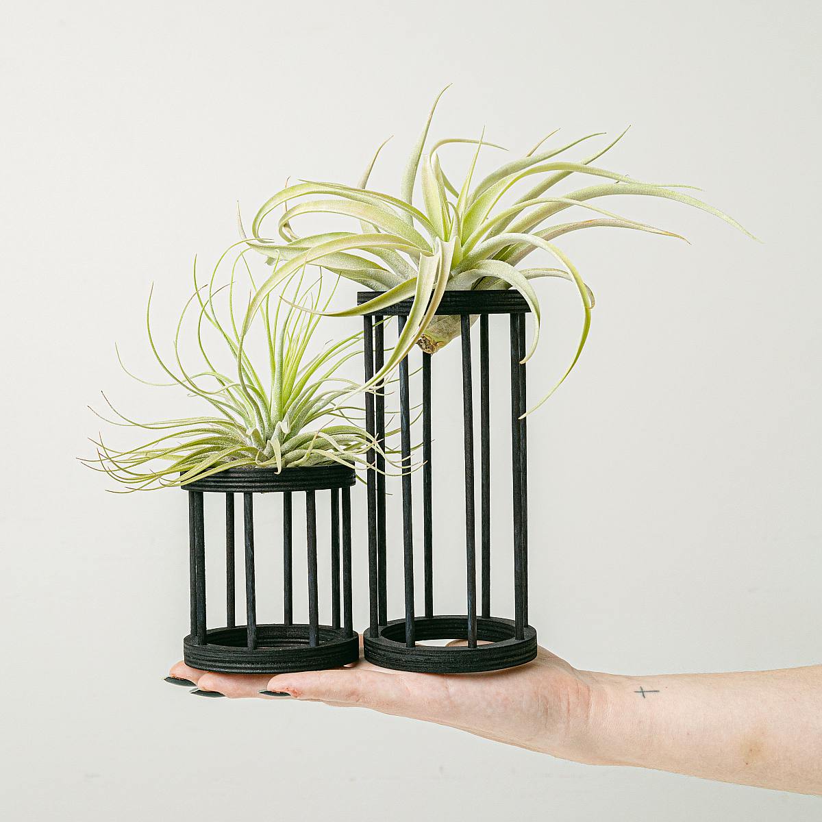 Duet ateński picture 1