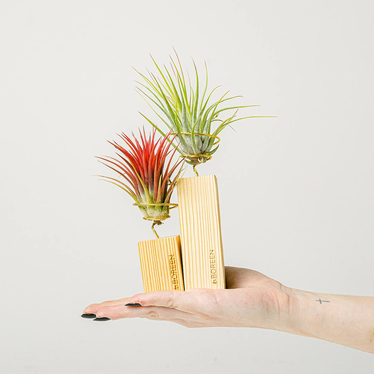 Duet Helsinki picture 1