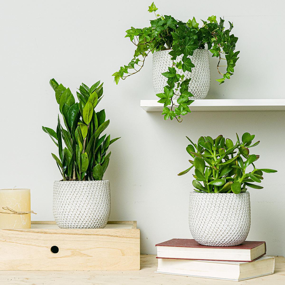 Trio Vasi Venezia - S/12 cm picture 2