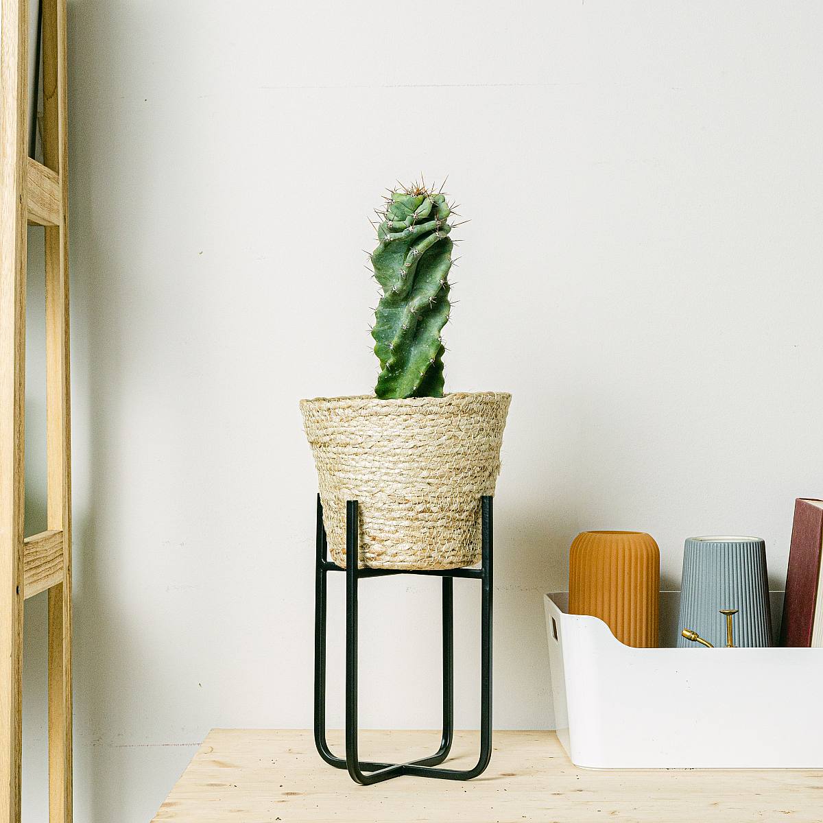 Ondersteuning Zwart picture 2