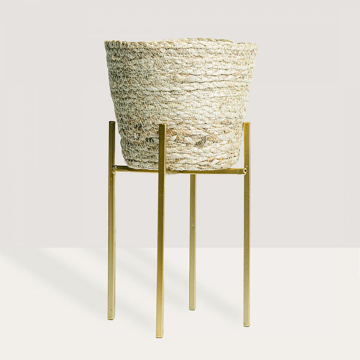 Set Nauru M avec support picture 0