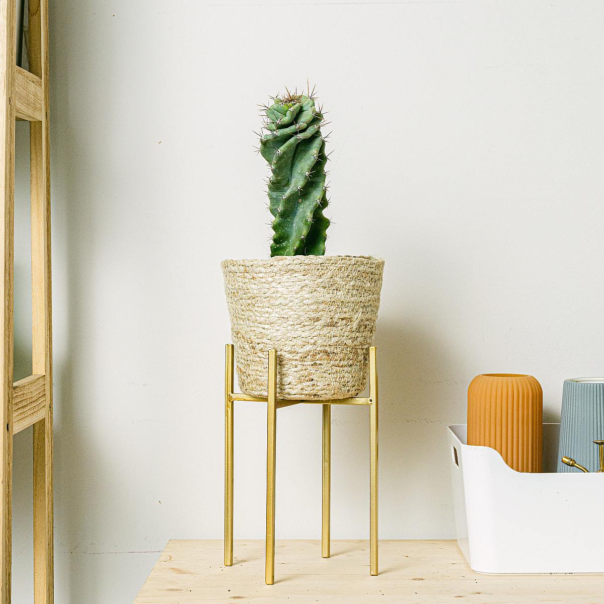 Set Nauru M avec support picture 2