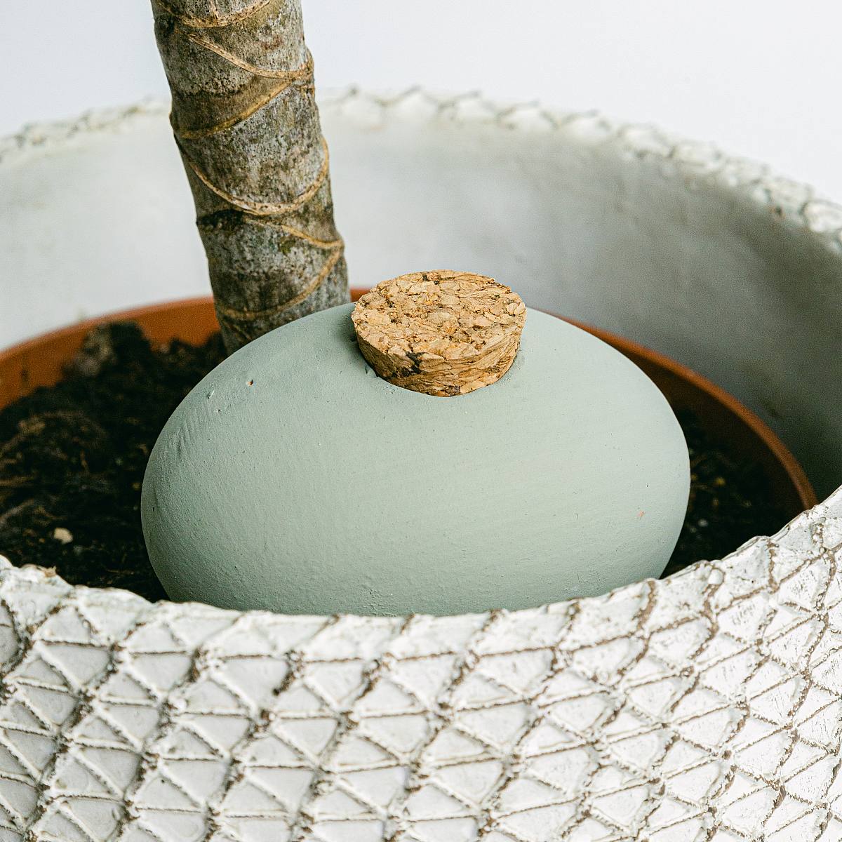 12 Design Autoriego Terrakotta picture 1